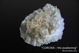Diana Coppens kunstwerk "Corona - the awakening"